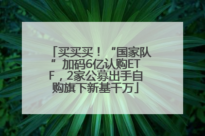 买买买！“国家队”加码6亿认购ETF，2家公募出手自购旗下新基千万