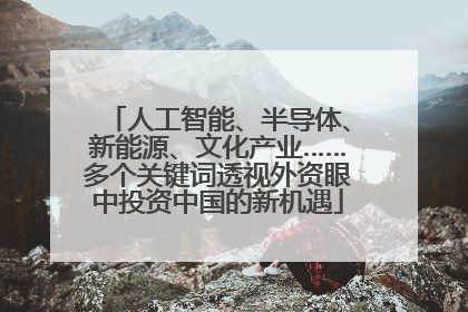 人工智能、半导体、新能源、文化产业……多个关键词透视外资眼中投资中国的新机遇