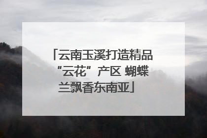 云南玉溪打造精品“云花”产区 蝴蝶兰飘香东南亚