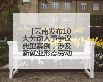 云南发布10大劳动人事争议典型案例，涉及新就业形态劳动关系认定等