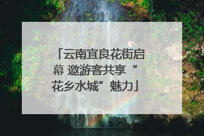 云南宜良花街启幕 邀游客共享“花乡水城”魅力