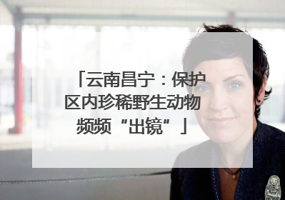 云南昌宁：保护区内珍稀野生动物频频“出镜”