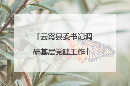 云霄县委书记调研基层党建工作