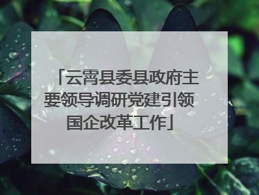 云霄县委县政府主要领导调研党建引领国企改革工作