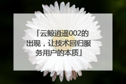 云鲸逍遥002的出现，让技术回归服务用户的本质