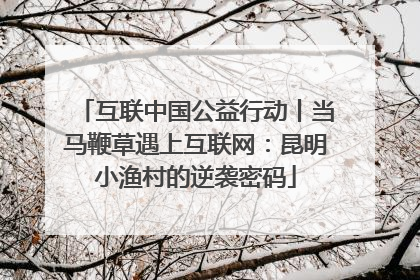互联中国公益行动丨当马鞭草遇上互联网：昆明小渔村的逆袭密码