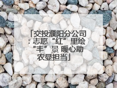 交投濮阳分公司：志愿“红”里绘“丰”景 暖心助农显担当