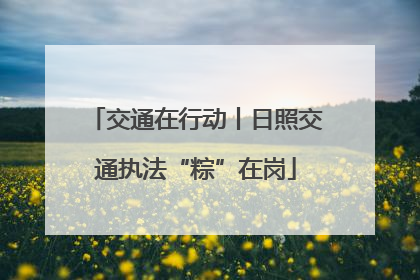 交通在行动丨日照交通执法“粽”在岗