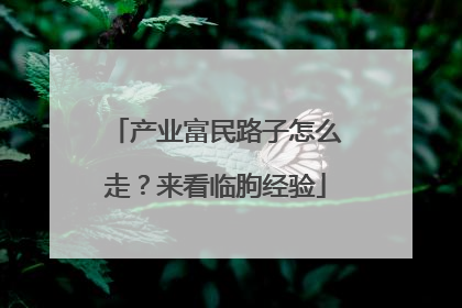 产业富民路子怎么走？来看临朐经验