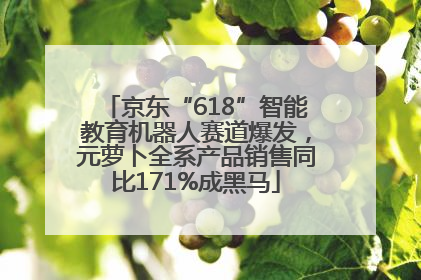 京东“618”智能教育机器人赛道爆发，元萝卜全系产品销售同比171%成黑马
