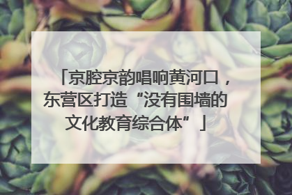 京腔京韵唱响黄河口，东营区打造“没有围墙的文化教育综合体”