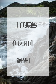 任振鹤在庆阳市调研
