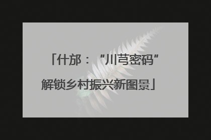 什邡：“川芎密码”解锁乡村振兴新图景