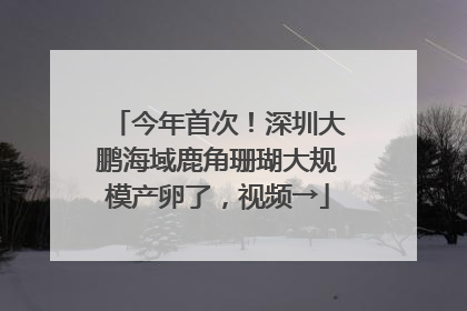 今年首次！深圳大鹏海域鹿角珊瑚大规模产卵了，视频→