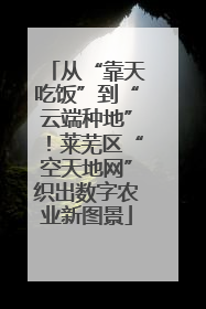 从“靠天吃饭”到“云端种地”！莱芜区“空天地网”织出数字农业新图景
