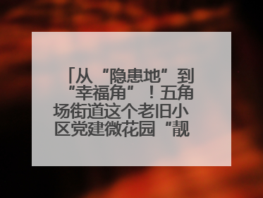从“隐患地”到“幸福角”！五角场街道这个老旧小区党建微花园“靓”出幸福新图景