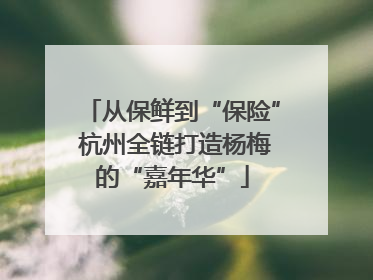 从保鲜到“保险” 杭州全链打造杨梅的“嘉年华”