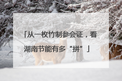 从一枚竹制参会证，看湖南节能有多“拼”