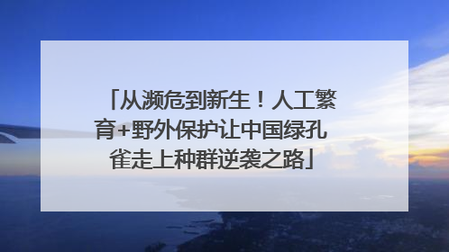 从濒危到新生！人工繁育+野外保护让中国绿孔雀走上种群逆袭之路