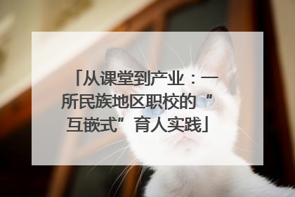 从课堂到产业：一所民族地区职校的“互嵌式”育人实践