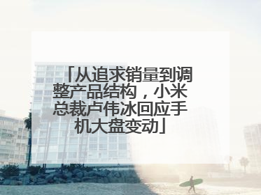 从追求销量到调整产品结构，小米总裁卢伟冰回应手机大盘变动