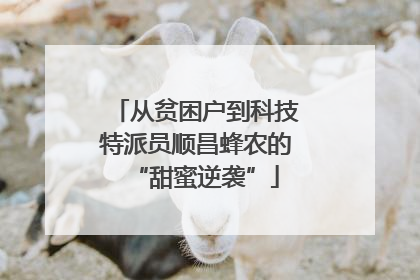 从贫困户到科技特派员顺昌蜂农的“甜蜜逆袭”