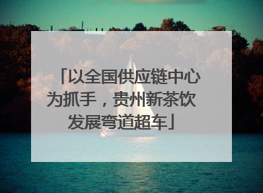 以全国供应链中心为抓手，贵州新茶饮发展弯道超车