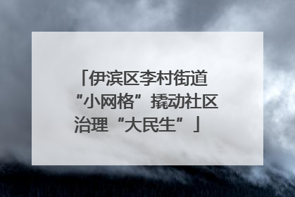 伊滨区李村街道 “小网格”撬动社区治理“大民生”