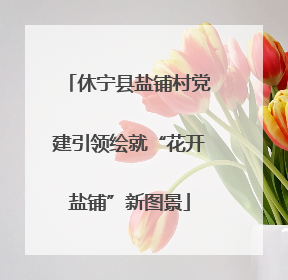 休宁县盐铺村党建引领绘就“花开盐铺”新图景