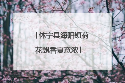 休宁县海阳镇荷花飘香夏意浓