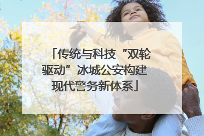 传统与科技“双轮驱动”冰城公安构建现代警务新体系