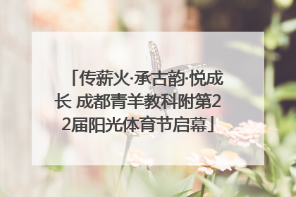 传薪火·承古韵·悦成长 成都青羊教科附第22届阳光体育节启幕