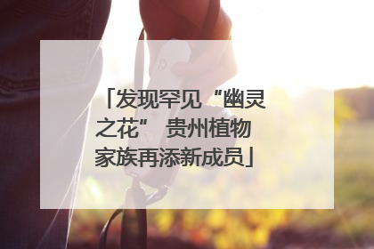 发现罕见“幽灵之花” 贵州植物家族再添新成员