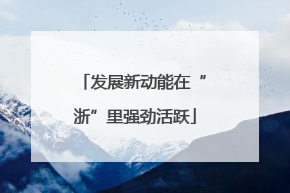 发展新动能在“浙”里强劲活跃