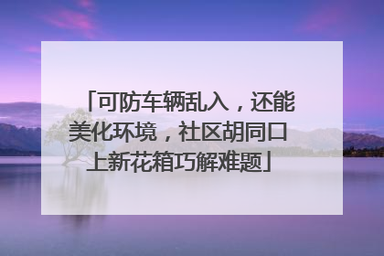 可防车辆乱入，还能美化环境，社区胡同口上新花箱巧解难题