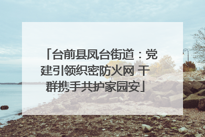 台前县凤台街道：党建引领织密防火网 干群携手共护家园安