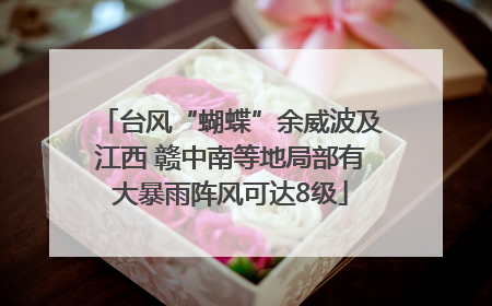 台风“蝴蝶”余威波及江西 赣中南等地局部有大暴雨阵风可达8级