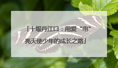 十堰丹江口：用爱“电”亮天使少年的成长之路
