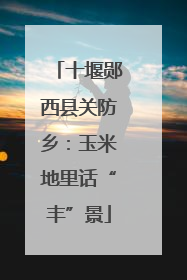 十堰郧西县关防乡：玉米地里话“丰”景