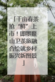 千亩春茶抢“鲜”上市！即墨鳌山卫茶旅融合绘就乡村振兴新图景