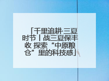 千里追耕·三夏时节丨战三夏保丰收 探索“中原粮仓”里的科技感