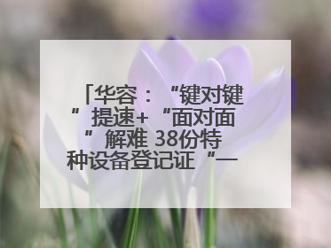华容：“键对键”提速+“面对面”解难 38份特种设备登记证“一站式”办结