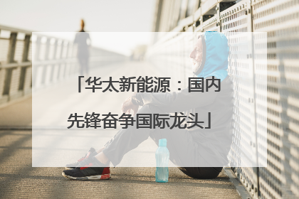华太新能源：国内先锋奋争国际龙头