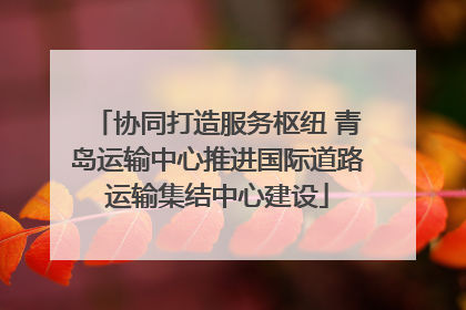协同打造服务枢纽 青岛运输中心推进国际道路运输集结中心建设