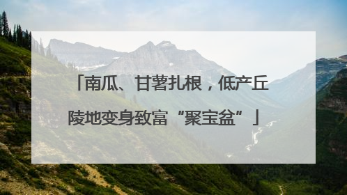 南瓜、甘薯扎根，低产丘陵地变身致富“聚宝盆”