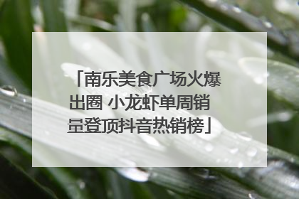 南乐美食广场火爆出圈 小龙虾单周销量登顶抖音热销榜
