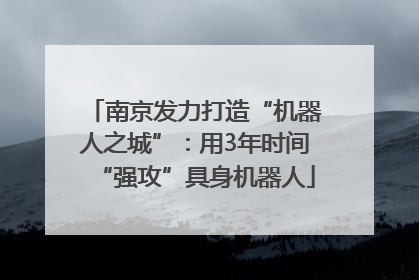 南京发力打造“机器人之城”：用3年时间“强攻”具身机器人