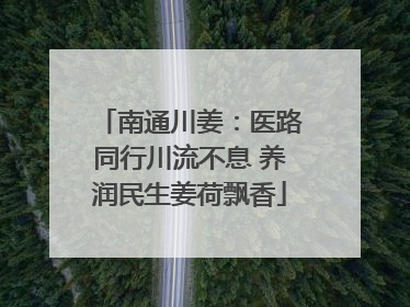 南通川姜：医路同行川流不息 养润民生姜荷飘香