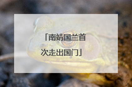 南靖国兰首次走出国门