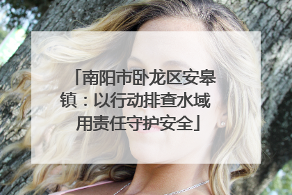 南阳市卧龙区安皋镇：以行动排查水域 用责任守护安全